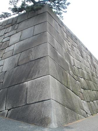 焼けていない、きれいな隅石