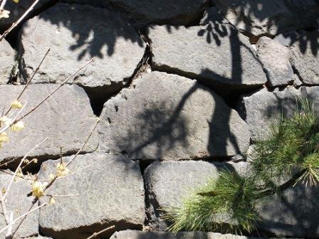 枡形内から見た石垣３